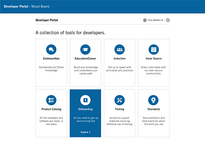 Developer Dashboard design concept adobe xd prototype ui ux wireframe