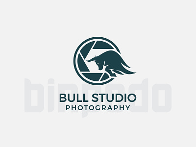 Bull Camera brand identity bull camera design designer graphic design illustration illustrator logo logotype photography vector