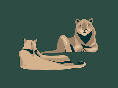 lionesses abstract adobe draw animals art cartoon characters design digital illustration illustrations ipad pro lion lioness procreate vector