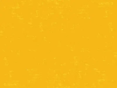 Women on a Mission title animation animation branding design identity motion motion design typogaphy women