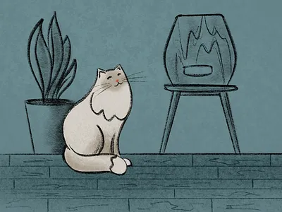Cat In The Room animal illustration cat design illustration pencil art procreate procreate illustration