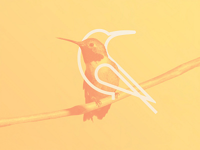 KOA Tours bird hummingbird logo logomark mark minimal pictorial