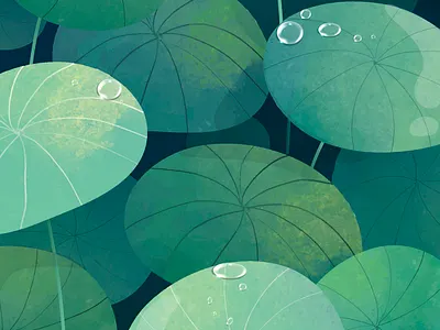 Green Pennywort illustration illustration leaf nature painting vector