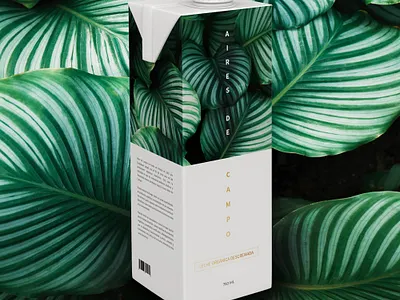 Aires de Campo milk milkcarton packaging
