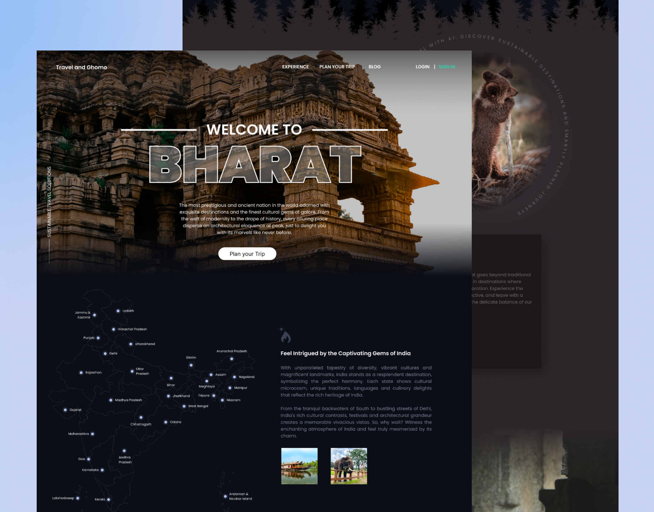 Travel & Tourism Website Design animation branding graphic design logo ui