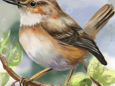 Watercolor-style illustration of a bird. cartoon character design illustration toy