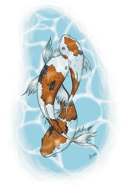 Koi carp animal fish illustration nature