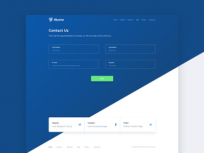 Contact Us Page | Skyena agency brand identity branding contact form contact us design design agency design studio landing page typography ui ux web webdesign