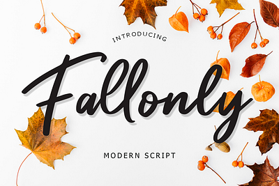 Fallonly Modern Script Font abc calligraphy creative design design font lettering modern script script font typography