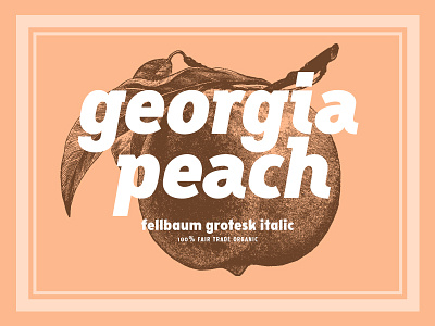 Fellbaum Grotesk Black bold cursive display font georgia grotesk italic oblique peach retro typography vintage vintage font