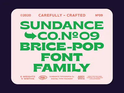 Brice Font Family branding classic font design display font download fonts font font design font family fonts graphic design lettering logo font logo fonts retro font sans serif serif font typeface typefaces typography vintage font