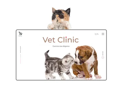 veterinary clinic clinic corporate design design ecommerce logo pets typography ui ux veterinary clinic web website