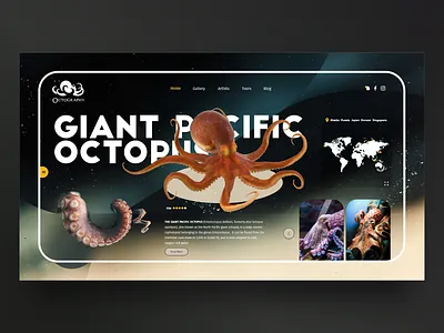 Octography branding design logo ui ux web website