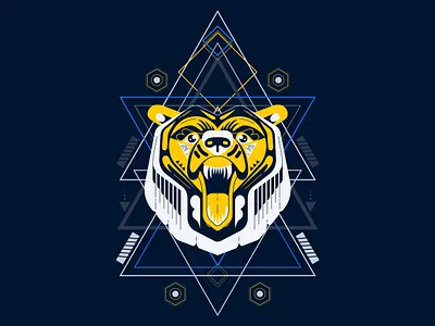 Bear illustration vector