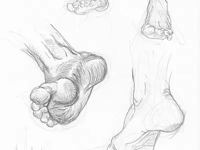 Anatomy Sketch anatomy design feet graphite illustration realism sketch