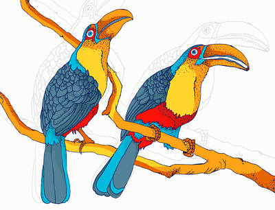 Toucan🐦 art artist artwork bird illustration color colors design design art designer designs drawing graphic design illustraion illustration illustration art illustrations illustrator paint painting paintings