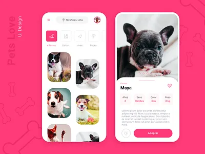 PETS design ui uiux ux