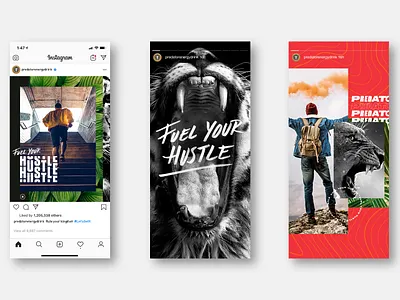Fuel Your Hustle animal energy hustle instagram instagram stories lion predator tropical type