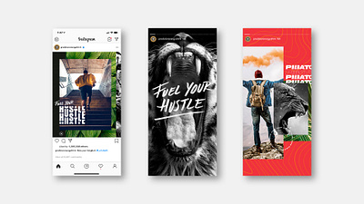 Fuel Your Hustle animal energy hustle instagram instagram stories lion predator tropical type