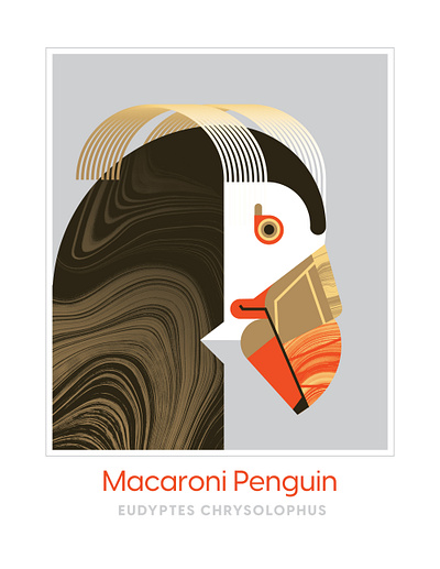 Macaroni Penguin bird character design geometric illustration line line art orange penguin psychadelic texture vector