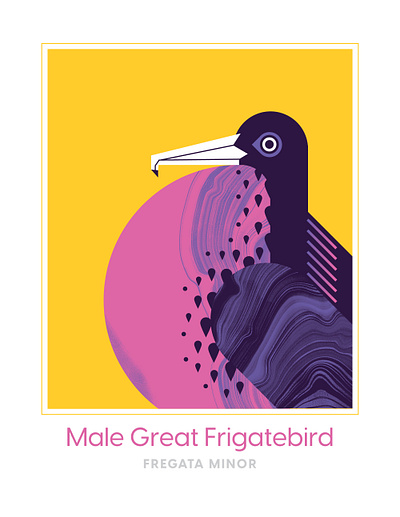 Male Great Frigatebird bird design flight fly geometric illustration pink texture vector