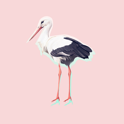 Bocian bird bird illustration digital design digital painting digitalart illustration pink procreate app stork