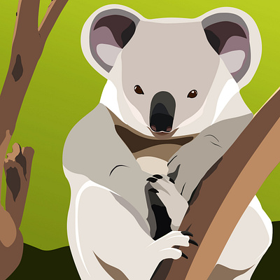 Koala is a very cute Australian animal animal art artwork design flat illustration graphic graphicdesign graphicdesigner illustration illustrator koala photoshop picture vector vector illustration vectorart