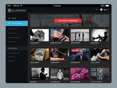 iPad App Design app design apple ios ipad ipad pro ui design ux design