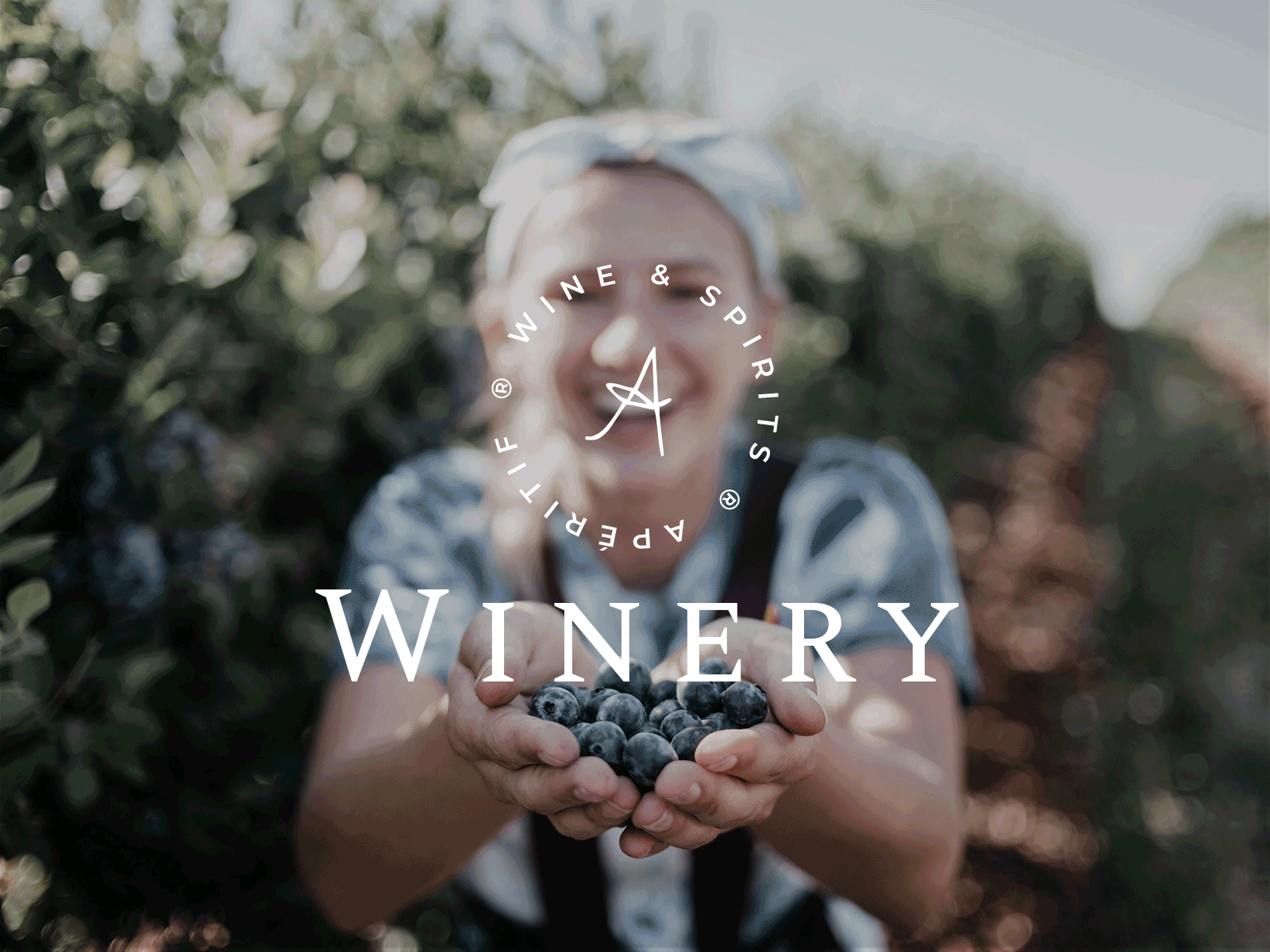 Apéritif clean design flat modern type typography ui ux web website