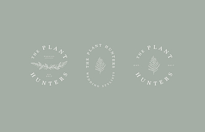 The Plant Hunters art direction brand branding branding design design editorial editorial design graphic design green minimal personal personal project plants typography wip