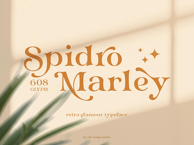 Spidro Marley Typeface
