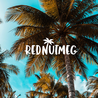 RedNutmeg Logo Design bahamas barbados beach logo caribbean caribbean logo food logo happy logo design logo designer logotype nutmeg palm tree palm trees sea sun logo sunny sunny day west indies