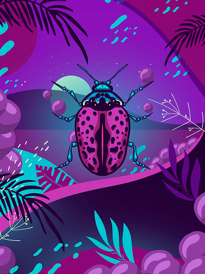 insect 03 colorful colors illustration insect insects