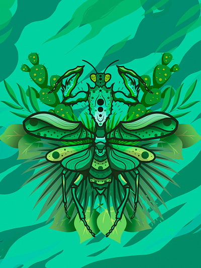 insect 04 colorful colors illustration insect