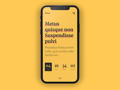 Daily UI – #014 Countdown Timer 014 adobexd appdesign countdown dailyui dailyui014 dailyuichallenge mobile responsive timer ui uidesign uiux webdesign