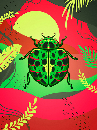 insect 04 colorful colors illustration insect