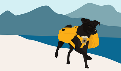 Dog Illustration_hiking adobe illustrator branding dog illustration vector