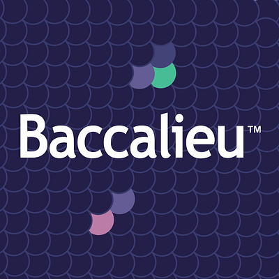 Baccalieu branding cartography design ecommerce logo mobile responsive retail typography ui