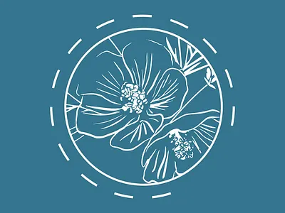 SaltWind branding illustration logo