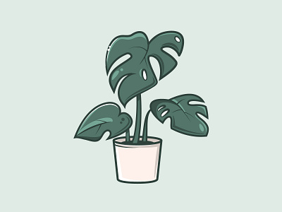 Monstera Deliciosa 2d cartoon cute flat house plant illustration monstera nature plant vector