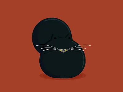 Fluffy Cat