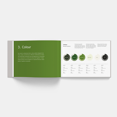 Terra Equity Group - Brand Guidelines 9inchideas brand agency brand and identity brand design brand guide brand guide identity brand guideline brand guidelines brand guides brand identity brandbook brandbook mark branding branding design graphic design graphics green identity identity design minimal