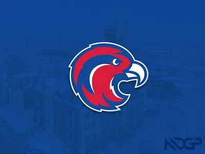 Riverhawks branding college hockey illustrator logo massachusetts vector