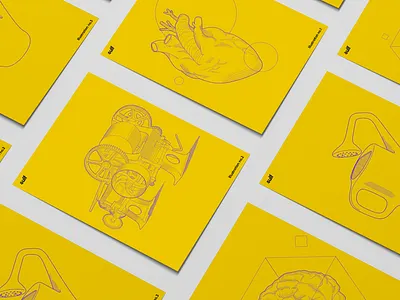 Sulf Brand Illustrations branding illustration vector