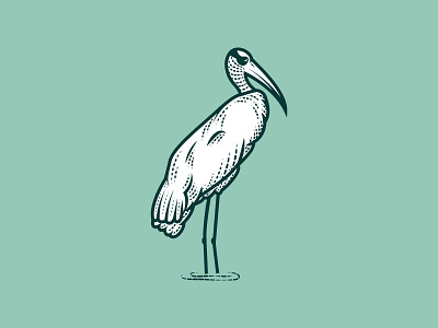 Wood Stork Bird Illustration beach bird bird illustration brand design brand identity branding design etched green icon illustration logo museum nature nature center park south carolina state stork wood stork