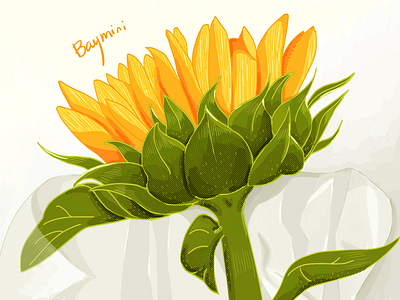 Sunflower design flower illustration