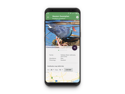 Followbirds app birding birds birdwatching branding design followbirds ui ux web website