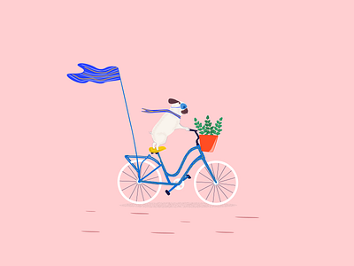 Dog on bike 2d adobe adobe illustrator bicycle bike biker character cute cute animal cute pug design illustration illustrator pink pug pug illustration riding vector