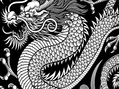Dragon illustration asian black and white branding dragon illustration illustrations japanese martial arts vector