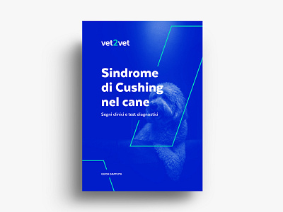 Vet2Vet - strategy & branding branding color design graphic design identity design minimal typography